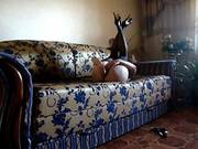 Awesome Brunette Fingering Her Cunt