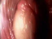 Sex Guide See A Penis Inside The Vagina
