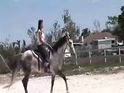 Chick From Thailand Riding A Horse