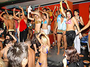 Hot Party Sluts!