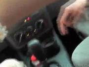 Gorgeous Amateur Humping Cock In The Car