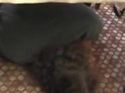 Young Wife Doing A Cuckold With The Husband