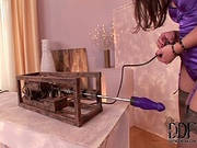 Zafira Fucks This Dildo Machine Well