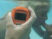 Wet `n` Wild