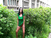 Teasing Among The Bushes