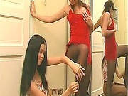 Two Playful Brunette Teens In Nylons