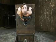 Hot Babe Gets Fucked By Machine In Crazy Bondage Device