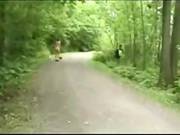 Flash And Exhib Compilation