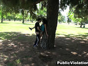 Hot Public Sex In The Park.