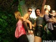 Sweet Nectar Harvesting Amateur