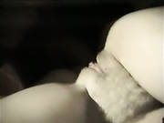 Anus Party Anal