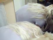 Adele In A Naughty Amateur Couple Enjoys Fuck And Oral Sex