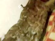 Cumming In His Girlfriends Face Hole ( Compilation )
