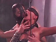 Wanton Studs And Dumpy Harlots Perform Dirty Orgy Party