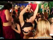 Slutty Party Chicks Sucking Cocks In Club 