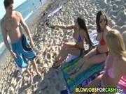 Moneytalks Wild And Crazy 0011