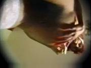 Classic Fuck With Hairy Pussy Pregnant Girl By Troc
2123