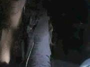 Cam No Sound Couple From Quebec
3100