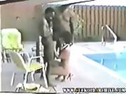 Cuckold Archive Vingage Video Of My Wife With 2 Black Bulls