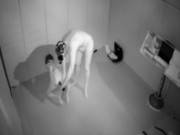 Assfucked In The Dark And Anally Stungunned