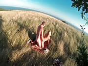   Wild Times Out In The Grass