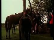 Fat Dick Smashing Cunt In Heidi Porn Video