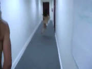 College Fine Students Fucking In Hall