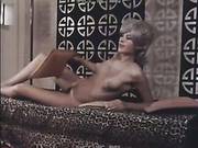 Around The World With Johnny Wadd Skinny