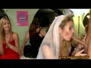 Sexy Sfnm Amateur Brunette Gives Blowjob