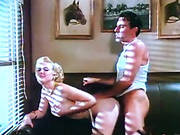 Dixie Ray Hollywood Star. Curly