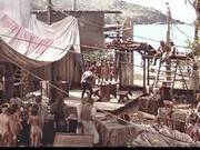 Tailinh Forest-flower In Christopher Columbus: The Discovery (1992)