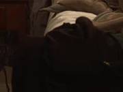Fucking A Beautiful Blonde Doll