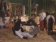 Naughty Couples Sucks Licks And Fucks Outdoor