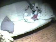 Girl Caught Dildoing On Sofa By Twistedworlds
514