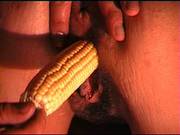 No Sound Diloed By Corn
204