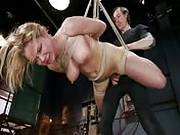   Brutalized While Bound