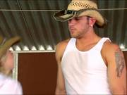 Fantastic Cowgirl In The Horse Stable