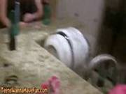 Party Teen Slut Sucks