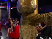 Bear Came In And All The Eyes Go Wide
