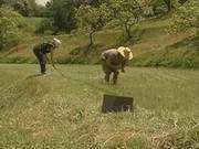 Japanese Woman With Hairy Cunt Is Having Sex In The Countryside After She Was Done With Her Work