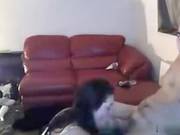 Golden-haired Emo  Immature Pov Pecker Sucking