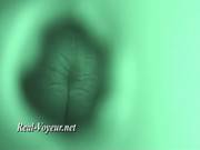 Latina Ladies Hidden Camera 132 Aba