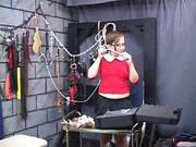 Curious Chloe 1
2500