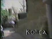 White Guy Fucks Korean Hooker Doggystyle
1000
