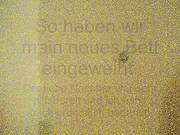 Sweetanne Pa Betteinweihung Mit Dem Nachbar
1100