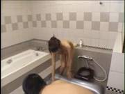 Sloppy Japan Massage Uncensored
1100