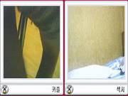 Two Korean Couples Fuck During Chat Session
2800