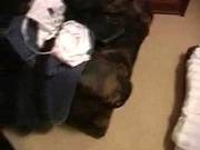 Amateur Mature Threesome With Young Couple
2000