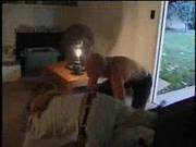 Gangbang In Her Room Csm
1901