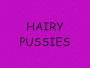 Hairy Pussies
1813